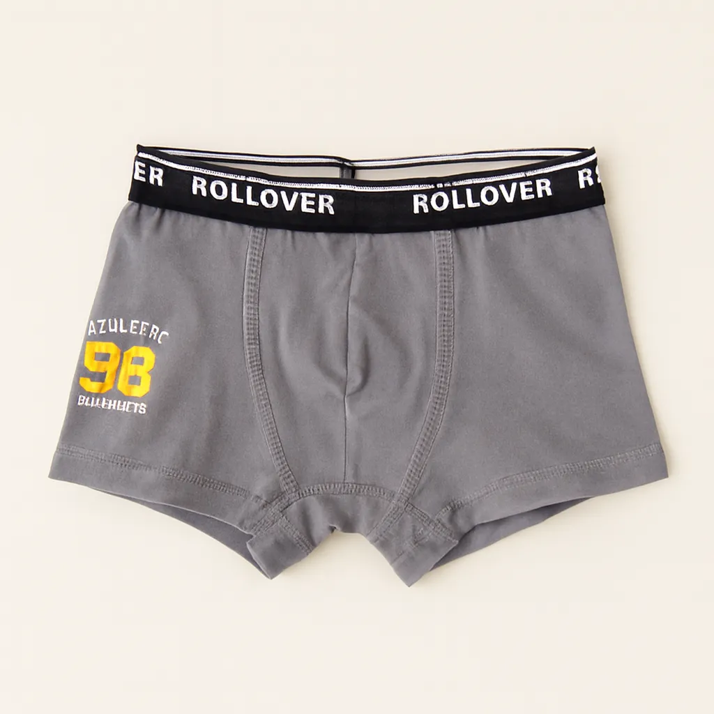 Boys Briefs (Charcol Black, 3-4Y)