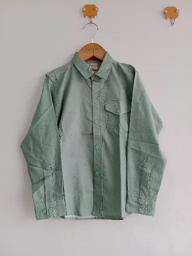LC Green Casual Shirt