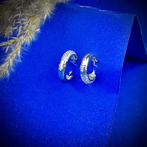 Silver Ear Hoops