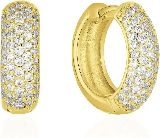 Gold Ear Hoops